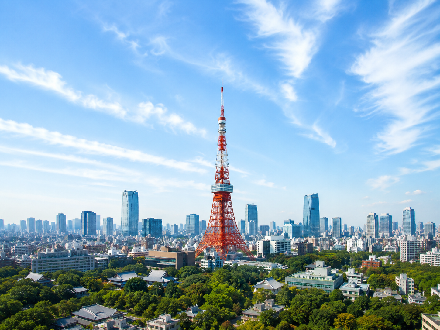 東京都キャリアアップ研修